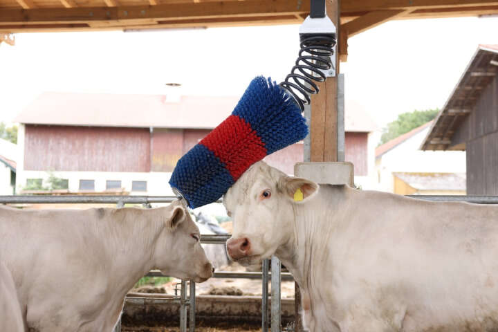 HAPPYCOW Kratzbürste FlexiSwing